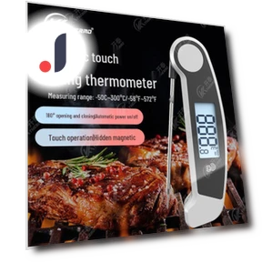 Folding Smart Thermometer for BBQ and Baking — Instant-Read, Discount Domain