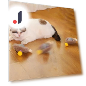 Interactive Cat Toy — Cat Playthings, Family Circle