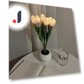 LED Night Light with Touch Control — Night Lights, Kitchen artifact