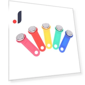 Plastic Rewritable RFID Touch Memory Key — Keyless Entry, Senescencha