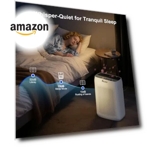 Air Purifier for Home Large Room — Activated Carbon Air Purifiers, VEWIOR