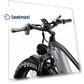 Fat Tire Electric Bike — Electric Vehicles, DUOTTS
