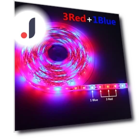 LED Grow Light Strip with Touch Switch — Growing Lamps, MALITAI