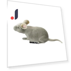 Electric Mouse Toy for Cats — Mice & Animals, Happy6