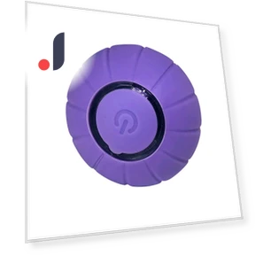 Interactive Smart Toy for Cats — Cat Playthings, Refreshing Home
