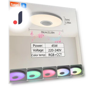 Smart Audio Ceiling Light — Overhead Lighting, Rainbow Rain