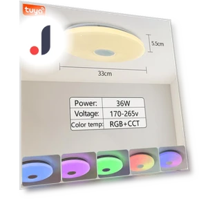 Smart Ceiling Light — Overhead Lighting, Rainbow Rain