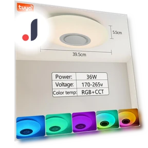 Smart LED Ceiling Light with Bluetooth Speaker — Overhead Lighting, Rainbow Rain