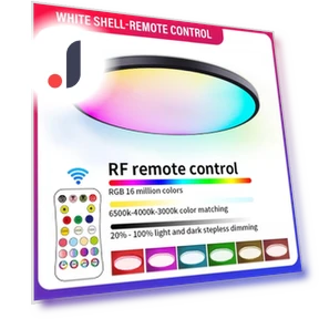 Smart LED Ceiling Light — Overhead Lighting, Build My Home