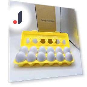 Smart Puzzle Egg — Infant & Early Childhood Playthings, WoW Area