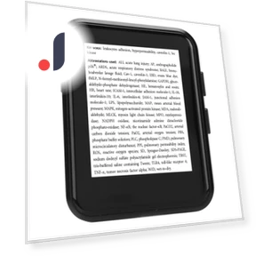 1.8-inch Touch Screen MP3 MP4 Player — Portable Media Players, Honor Electronics