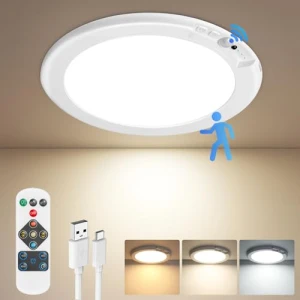 Motion Sensor Ceiling Light, Bairth