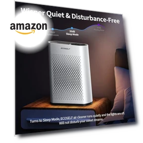 Smart WiFi Air Purifier — Activated Carbon Air Purifiers, ECOSELF
