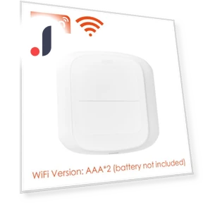 2 Gang Wireless Remote Control Switch — Smart Home Hubs & Controllers, HIMO Group