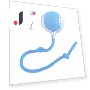 Automatic Smart Cat Toys Rechargeable Dog Cat Training Ball Electric Cat Ball Toy — Interactive Animal Companions, engdch