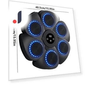 Smart Counting Boxing Trainer — Boxing Training Gear, JOHO - CarGear