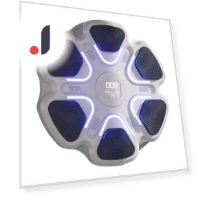 Smart Musical Boxing Trainer — Training Focus Mitts, SunshineTek