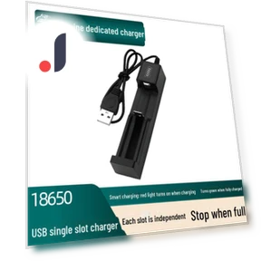 Smart USB Charger for Lithium Batteries — Chargers, AI Supermarket