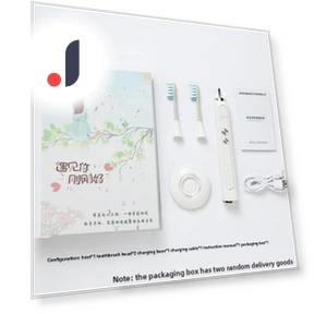 Electric Toothbrush for Adults — Chargers, Binchi Health Technology