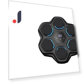 Electronic Boxing Trainer — Boxing Training Gear, Binchi Keji Travel