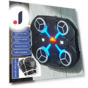 Smart Bluetooth Boxing Target — Boxing Training Gear, Binchi Outdoor Equipment