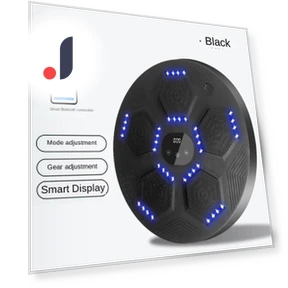 Smart Bluetooth Music Boxing Trainer — Boxing Training Gear, Binchi Outdoor Equipment