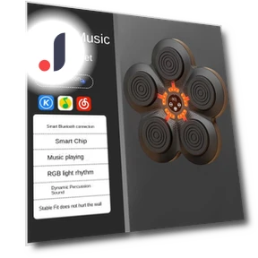 Smart Boxing Trainer — Boxing Training Gear, Binchi Outdoor Equipment