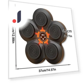Smart Music Bluetooth Boxing Wall Target — Boxing Training Gear, Binchi Keji Travel