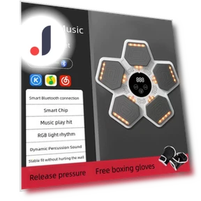Smart Musical Boxing Machine — Boxing Training Gear, Binchi Keji Travel