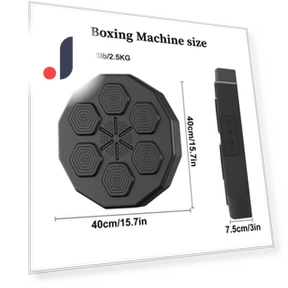 Smart Musical Boxing Trainer — Boxing Training Gear, Binchi Keji Travel