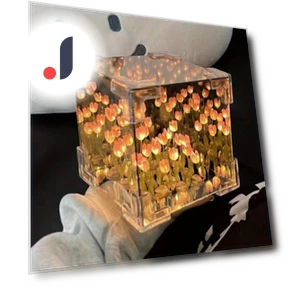 Tulip Night Light Kit — Night Lights, JR-Studio