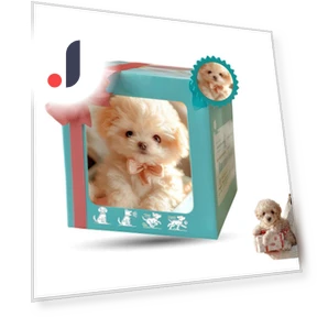 AI Emotional Recognition Robotic Pet Puppy — Cameras & Monitors, hayatospeed