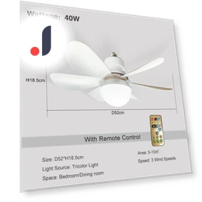 Silent Motorized Ceiling Fan with Remote Control — Ceiling Fans, new boy 01