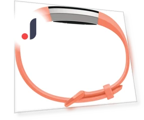Fitness Activity Tracker — Fitness & Activity Monitors, Large discount