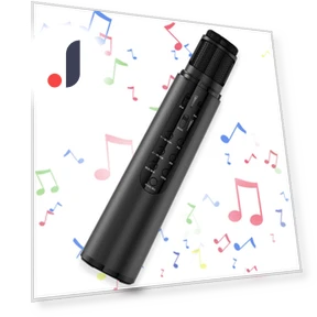 Karaoke Microphone with Bluetooth Speaker — Phone Accessories, HAYAO