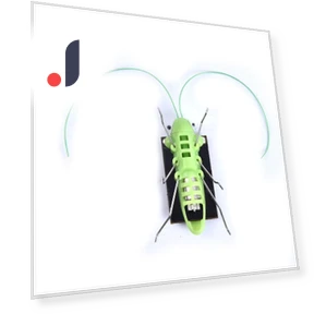 Solar Powered Grasshopper Robot Toy — Solar Power, zingy