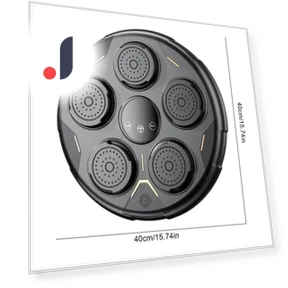 Smart Musical Boxing Machine — Agility Training Balls, Binchi Keji Travel