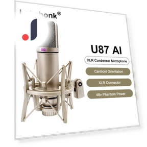 Professional Cardioid Condenser Microphone — Condenser, ZPG
