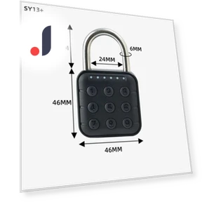 Smart Biometric Fingerprint Lock — Biometric Security, Tuya