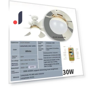 Smart Ceiling Fan with Remote Control and LED Light — Ceiling Fan Wall Controls, The Romantics