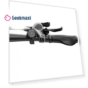 Electric Bike — E-Bikes, DUOTTS