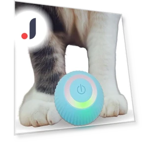 Interactive Cat Toy Ball — Cat Playthings, Holland Lec