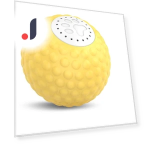 Smart Ball for Dogs — Balls, Dongfang HOME A