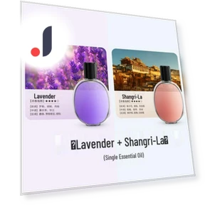 Smart Aroma Diffuser and Humidifier with Timer — Diffusers, The Best Experience