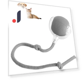 Chewie Ball Rolling Pet Toy — Balls, Diana Pet Stuff