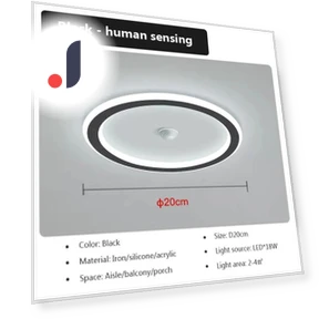 Smart LED Ceiling Light with Human Presence Sensor — Overhead Lighting, Good Household Items