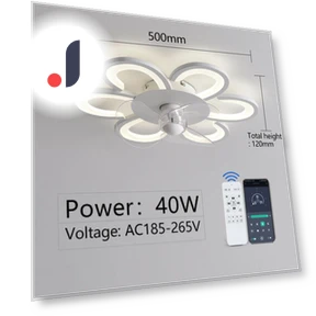 Smart Ceiling Fan with Light — Ceiling Fans & Accessories, Rainbow Rain