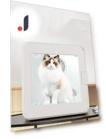 Smart Pet Dryer — Vents, Rainbow Rain