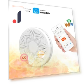 Smart Smoke and Carbon Monoxide Detector — Smoke & CO Detectors, Good Household Items