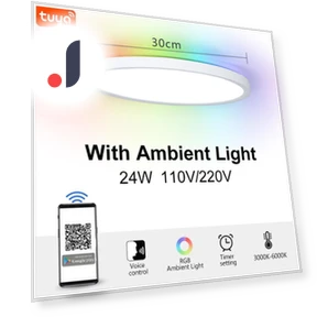 Ultra Thin Smart LED Ceiling Light — LED, Rainbow Rain
